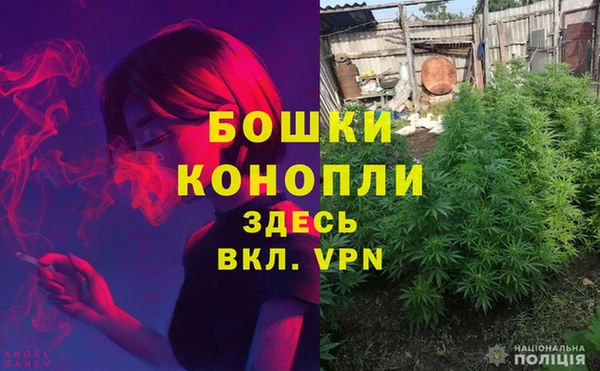 jwh Алзамай