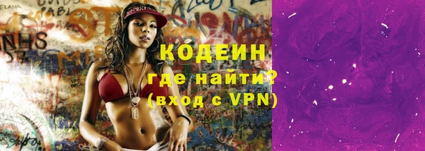 гашик Мегион