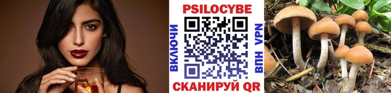 сайты даркнета состав  Нижнекамск  Галлюциногенные грибы Psilocybine cubensis 